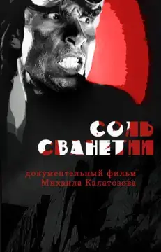  Соль Сванетии 